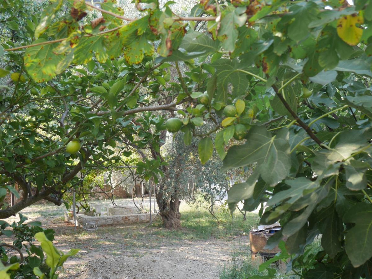 Panormos  O Pyrgos Accommodations מראה חיצוני תמונה